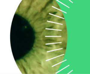 Digital eye with strokes